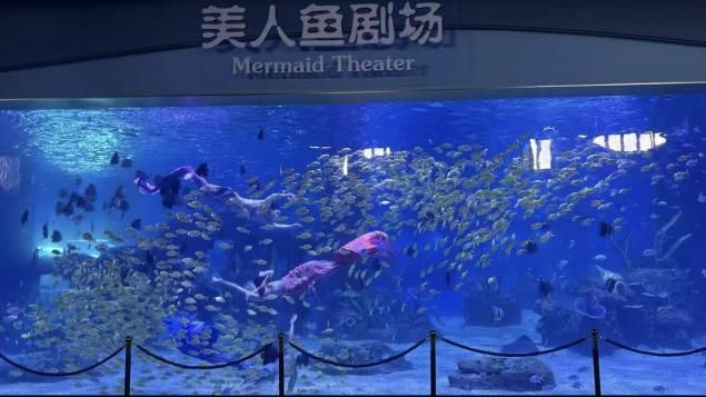 米乐M6平台：又一批主题乐园“国庆档”开业全球最大室内滑雪场也来了！(图15)