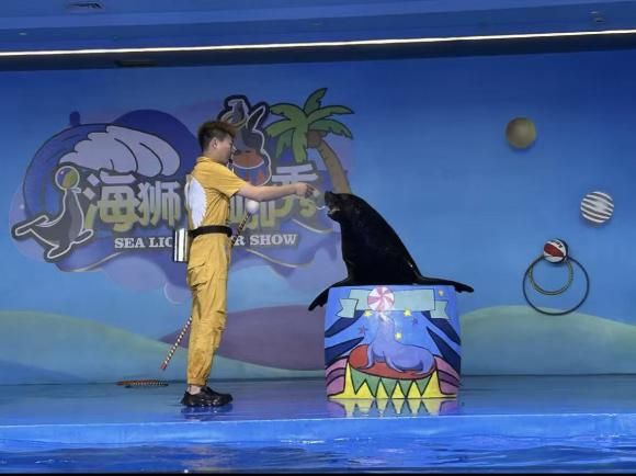 米乐M6平台：又一批主题乐园“国庆档”开业全球最大室内滑雪场也来了！(图16)