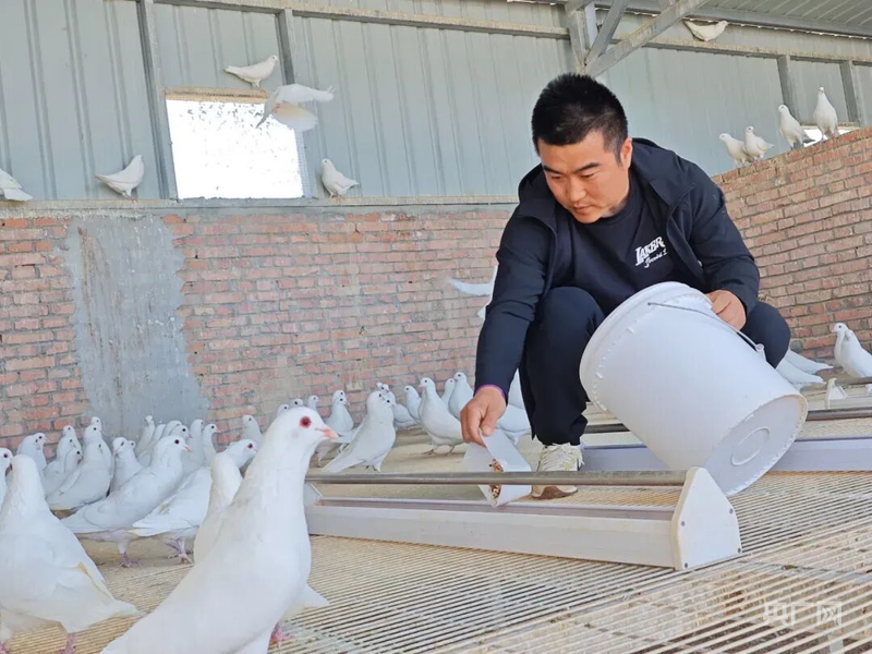 米乐M6网页版：绘就“三农”新画卷奏响乡村振兴丰收曲(图2)