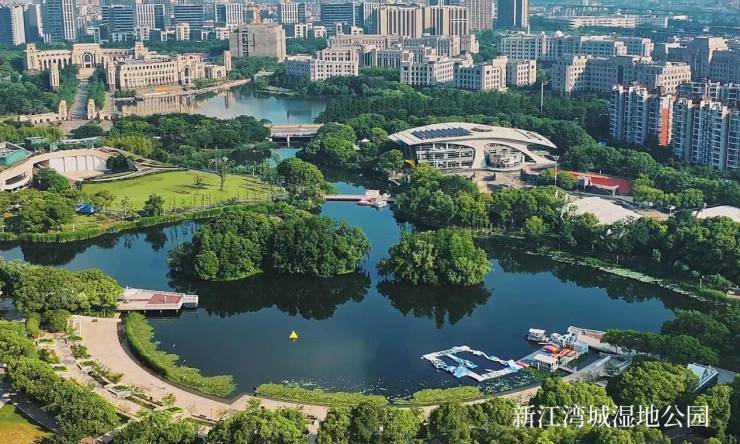 九月认筹状元!建发海宸给到上海楼市6重「诚意」(图1)