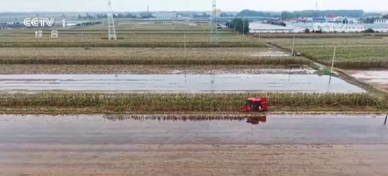 米乐M6平台：多地积极应对阴雨天气力保秋粮丰产归仓(图3)