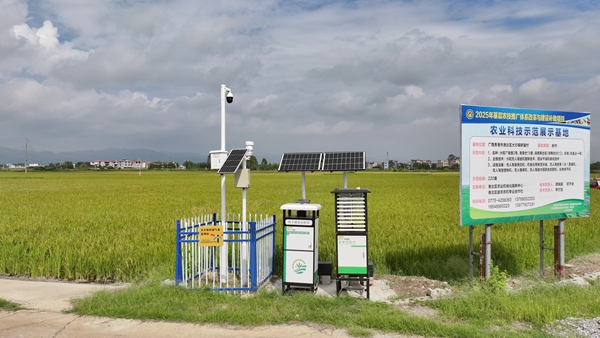 贵港市港北区：设施农业奏响乡村振兴协奏曲(图3)