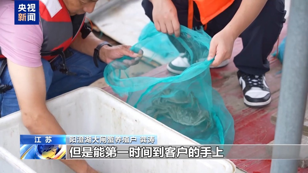 大闸蟹坐“头等舱”24小时飞抵千家餐桌(图2)