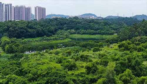 米乐M6平台：热搜好房｜敏捷万博金湖壹号售楼处发布打造理想品质生活(图2)