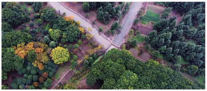 ⚡最新▶☑️上江南·璟荟名庭售楼处发布：高端精装住宅(图32)