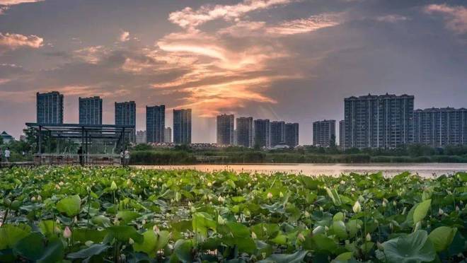 重磅♐虹桥嘉悦府售楼处发布：虹桥嘉悦府以品质铸就传奇!(图9)