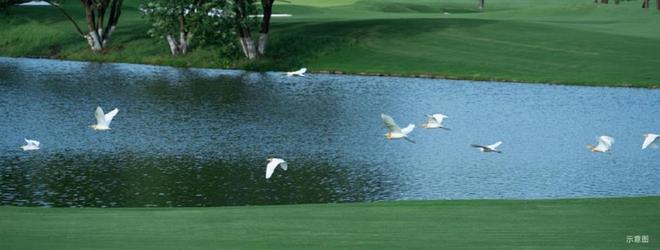 米乐M6平台:北京星耀未来售楼处电话-售楼处位置-楼盘详情【】(图5)