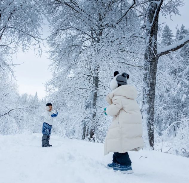 2025哈尔滨旅行社口碑！国家认证+真实口碑双重保障不踩雷(图4)