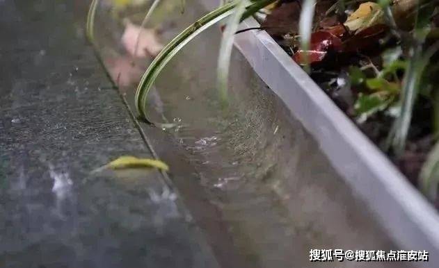 中鹰黑森林-上海(中鹰黑森林)网站最新房价-户型-容积率(图6)