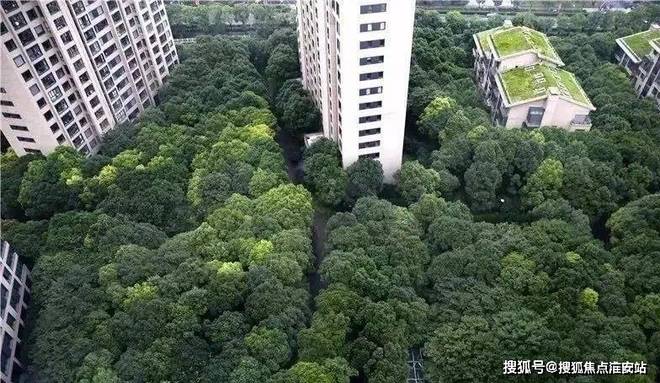 中鹰黑森林-上海(中鹰黑森林)网站最新房价-户型-容积率(图5)