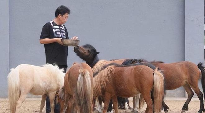 德云社“不差钱”谦大爷恢复执行111万团队紧急回应划清老赖界限(图7)