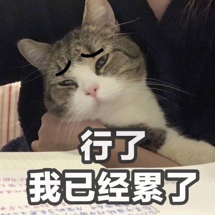 这双今冬爆火的“室内长靴”凭什么让男女老少纷纷上头?(图2)