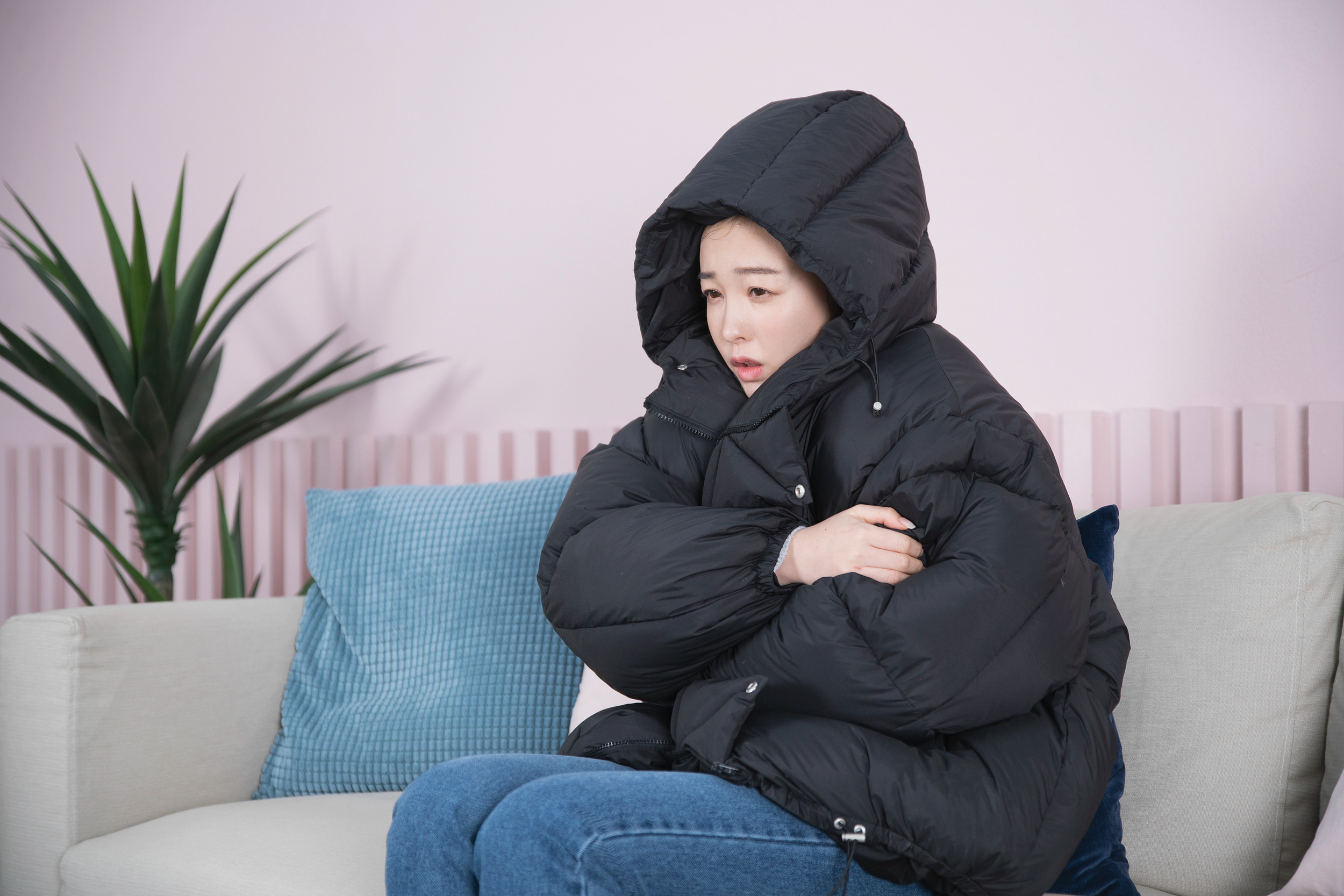 “暖流指挥官”上线、数字技术“超能力”北方过冬“新神器”浙江造(图1)