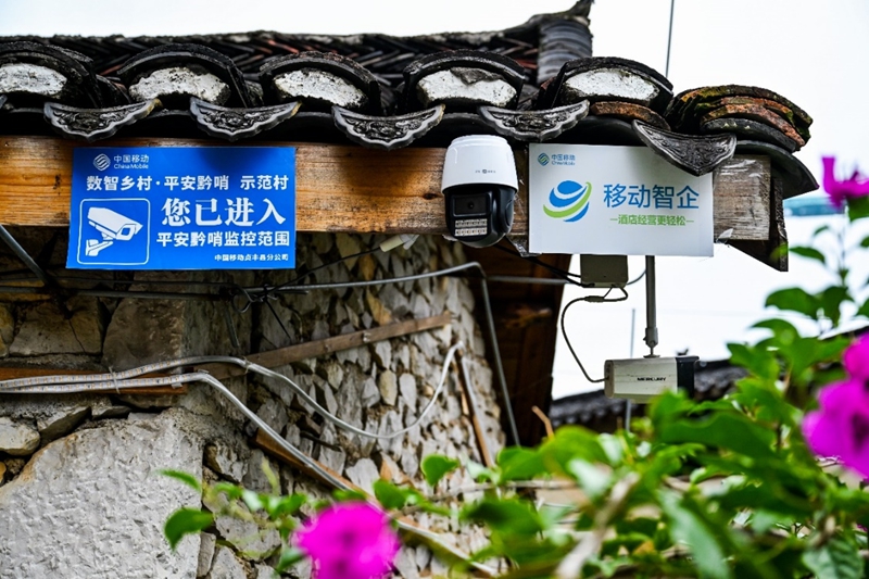 从花江峡谷大桥出发:探访“多彩贵州移起向新”(图10)