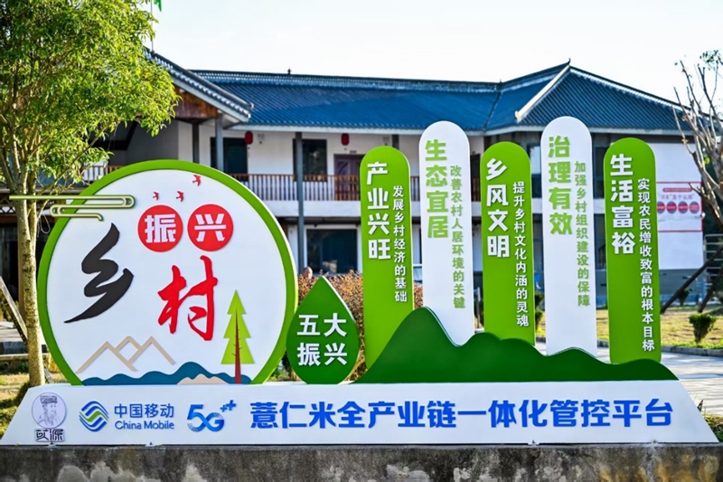 从花江峡谷大桥出发:探访“多彩贵州移起向新”(图11)