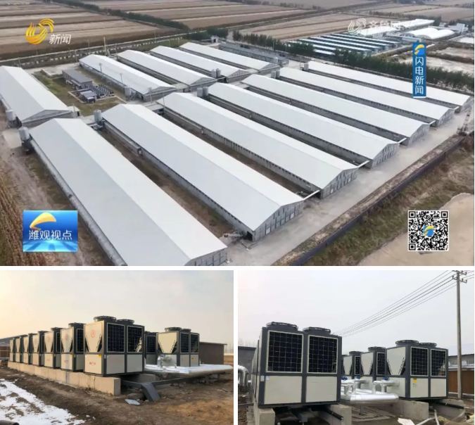 米乐M6：媒体报道：中广欧特斯热泵助力养殖场打造智慧养殖新模式(图2)