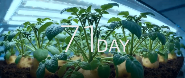 AUX宇宙航行日志：“火星”生存99天(图5)