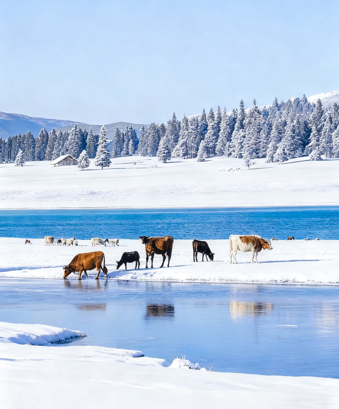 米乐M6:中国蓝观察丨“冰雪+温泉”“冰雪+国风”各地游“花式出新”(图4)
