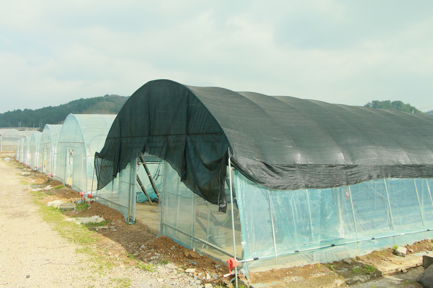 贵州省首个香荚兰设施种植基地落户修文县程官村(图4)