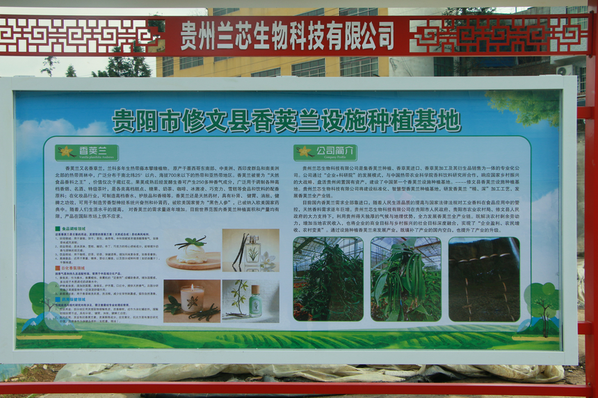 贵州省首个香荚兰设施种植基地落户修文县程官村(图5)