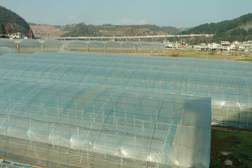 贵州省首个香荚兰设施种植基地落户修文县程官村(图6)