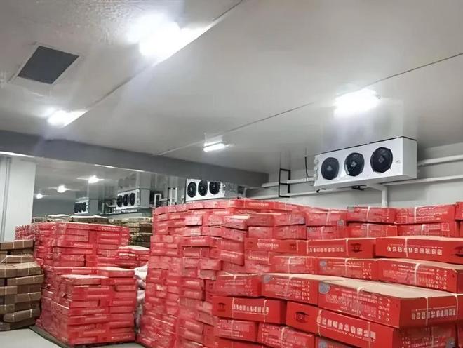 推荐优质电子材料冷库供货商的优质选择与深度解析(图1)