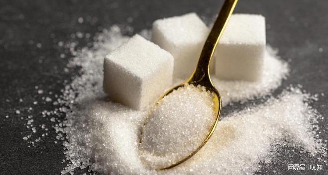 东坡肉背后的硬核之处绝非单纯的吃货狂欢折射宋代的碾压优势(图13)