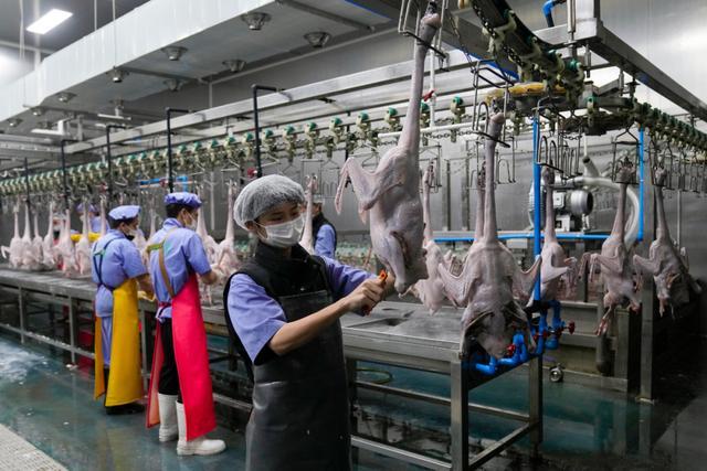 44家企业成功上规！清远高新区工业发展“加速跑”再添新动能(图2)