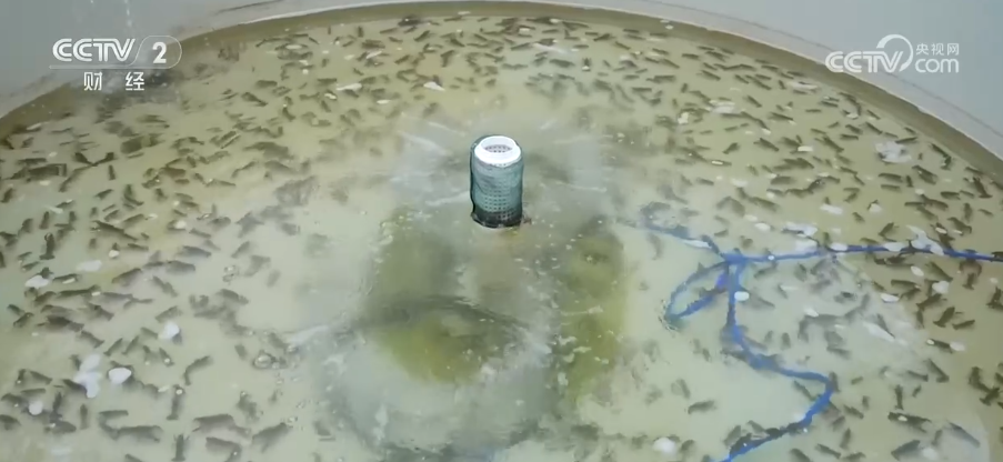 米乐M6网页版：智慧养殖抢“鲜”机新农人的“科技养殖”大有门道(图2)