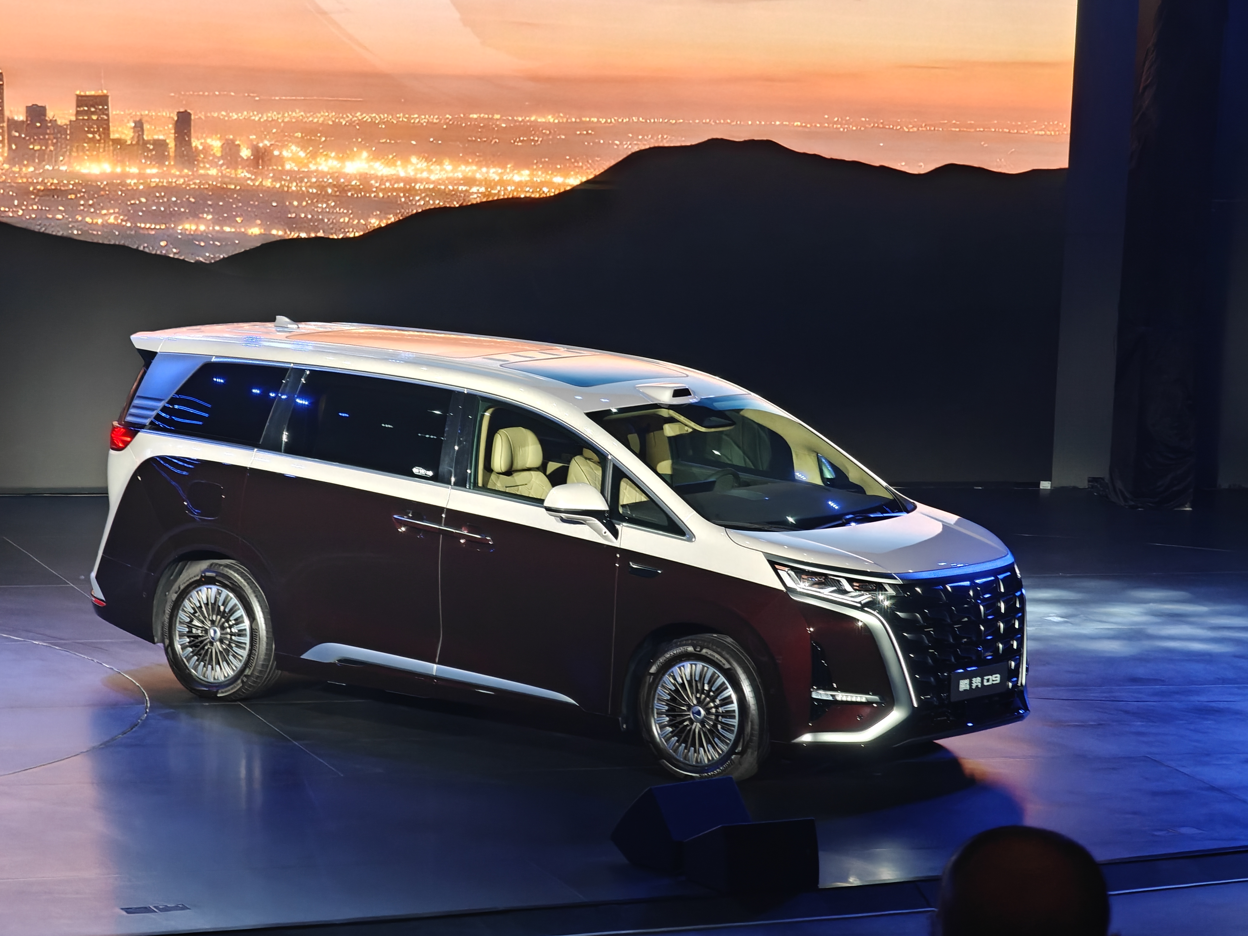 大模型没用、芯片太贵？5年后没有这些功能的车可能连二手都难卖(图2)